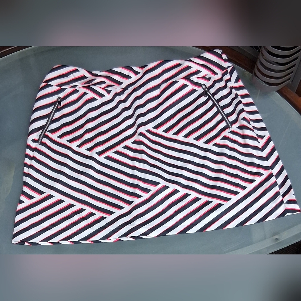 Tail Women's Mini Skirt with Black and Red Stripes